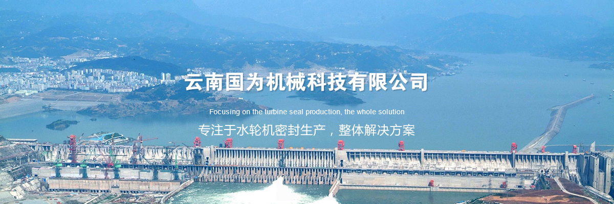 水輪機主軸密封 – 幾種水輪機主軸密封的解決方案 水輪機主軸密封 – 幾種水輪機主軸密封的解決方案