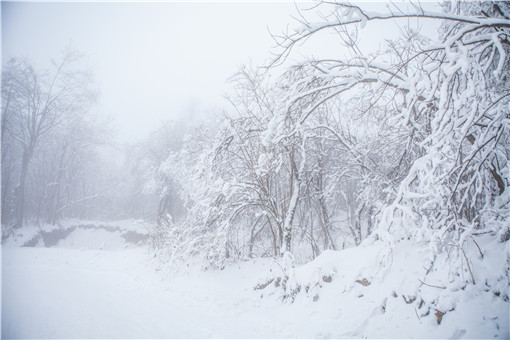 拉尼娜現象是什么意思?對我國2020年有什么影響? 拉尼娜現象是什么意思?對我國2020年有什么影響?