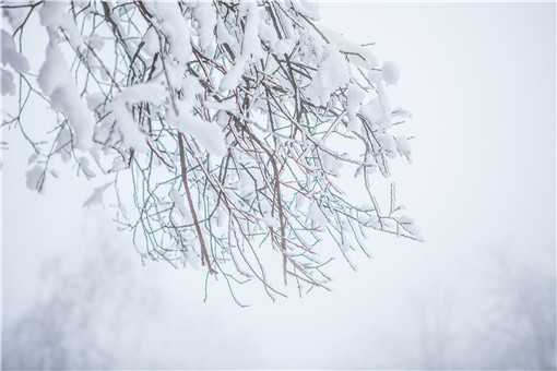 拉尼娜現象是什么意思?對我國2020年有什么影響? 拉尼娜現象是什么意思?對我國2020年有什么影響?