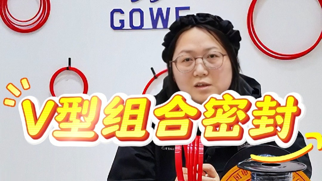 國為V型組合密封產品-國為密封件